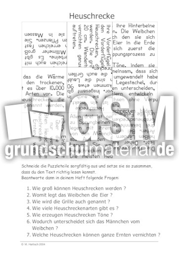 Heuschrecke.pdf